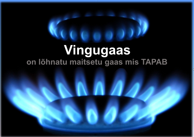 Kuidas vältida ja tunda ära vingugaasi mürgistust?